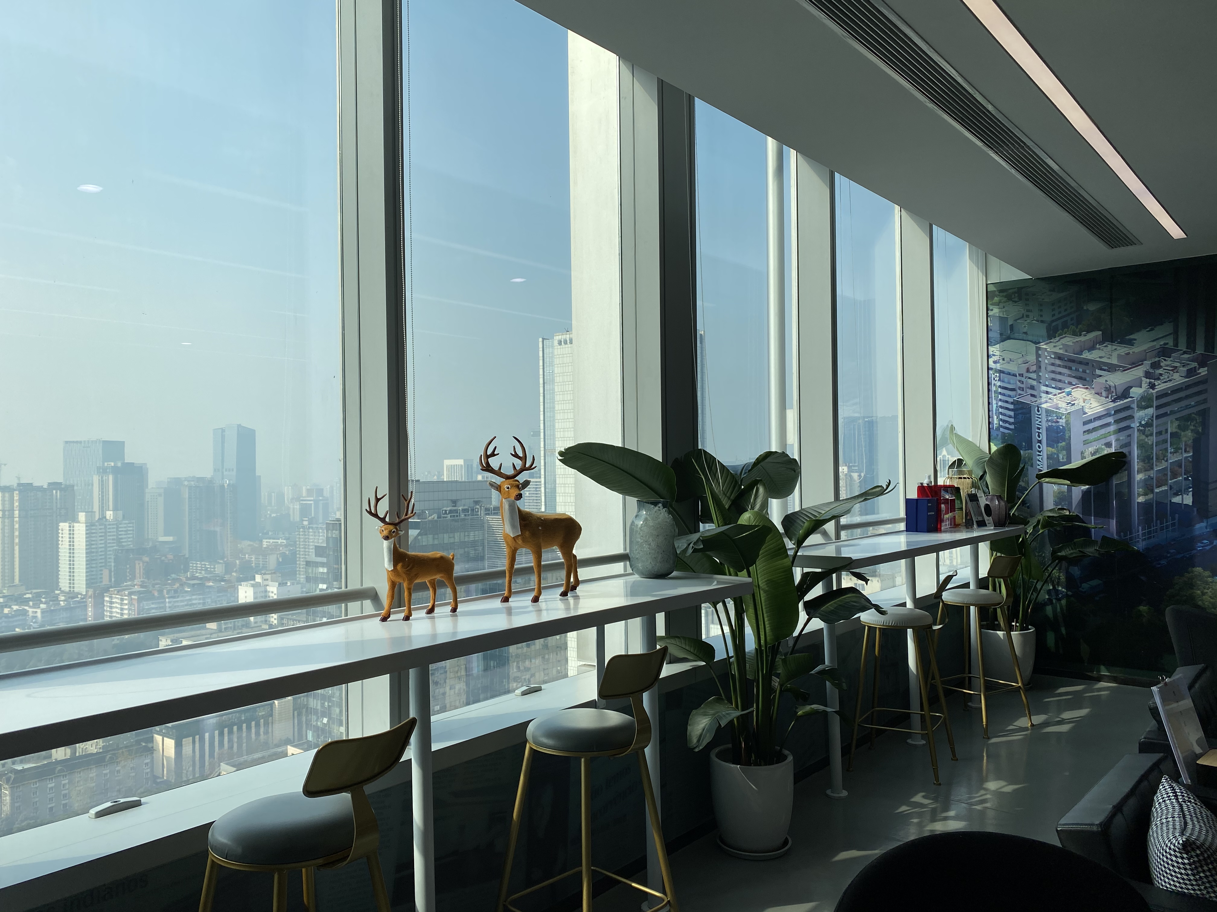 成都置略马泷口腔门诊部与普通齿科的区别：高端定位下的细节优势